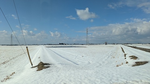 PXL_20250125_003447962