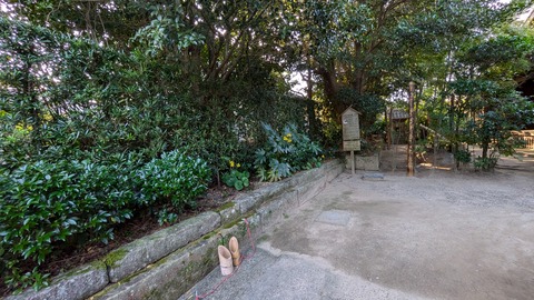 PXL_20241119_061927851