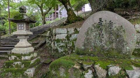 PXL_20250626_070120554