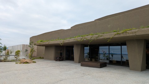 PXL_20250626_052151579