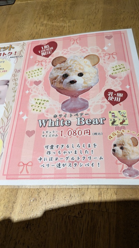 PXL_20241115_054422098