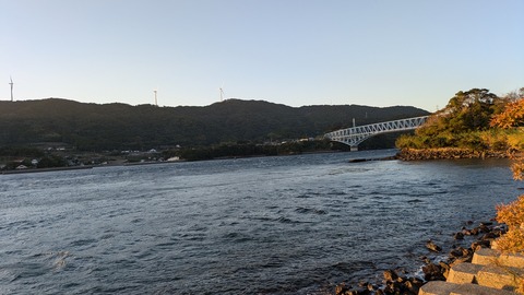 PXL_20241118_075209438