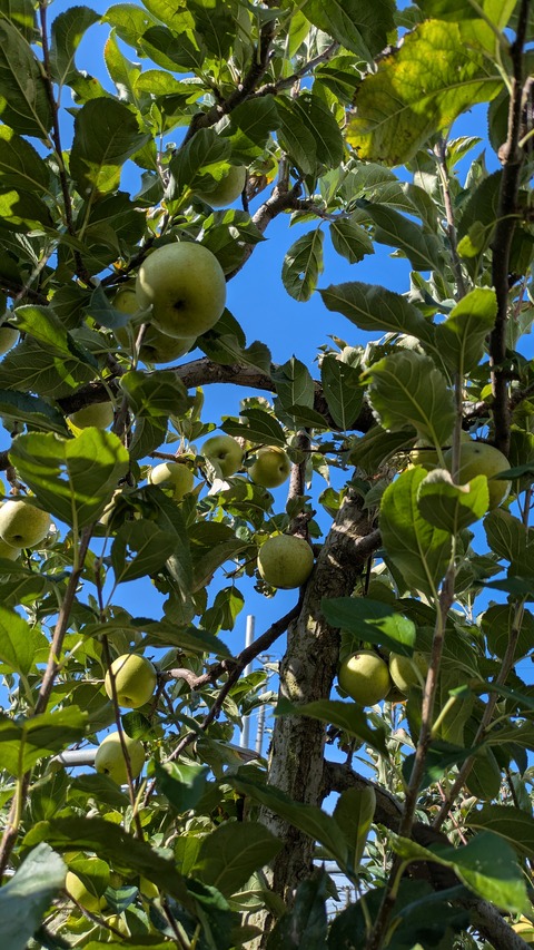 PXL_20251102_013821061