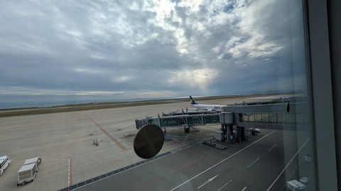 PXL_20251025_043724680