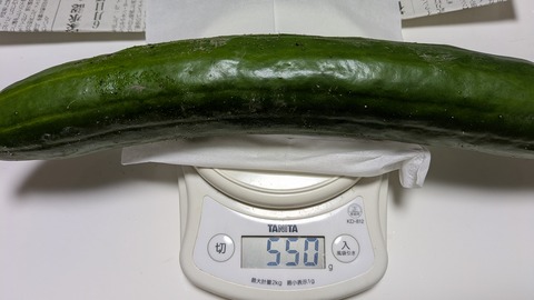 PXL_20250809_070057020