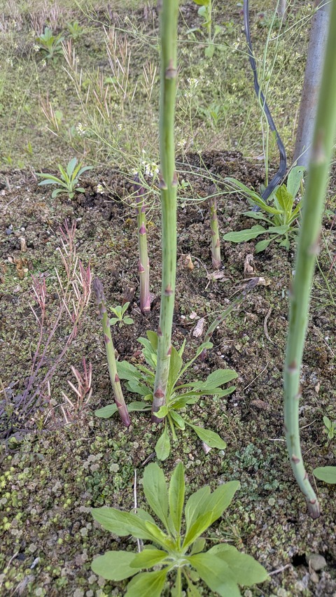 PXL_20250504_072209548