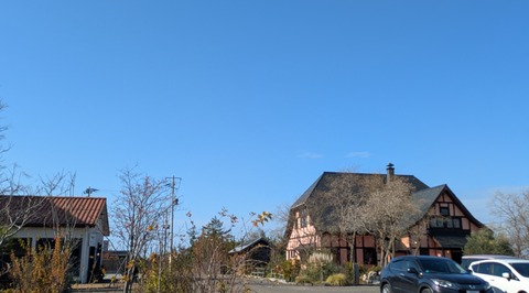 PXL_20251130_030749670~2