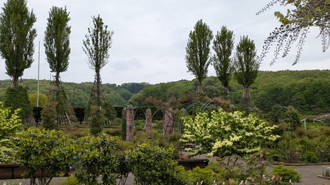 PXL_20250506_040921505