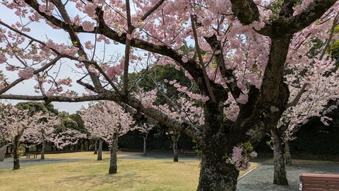 PXL_20250411_021330906