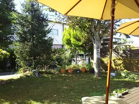 メイプルカフェ2