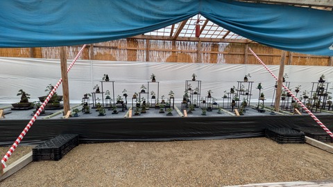 PXL_20241028_010503645