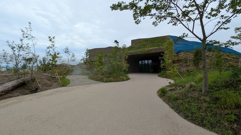 PXL_20250626_050448217