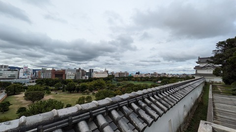 PXL_20241028_011624937