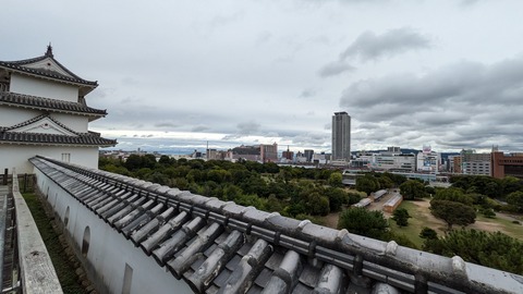 PXL_20241028_011604756