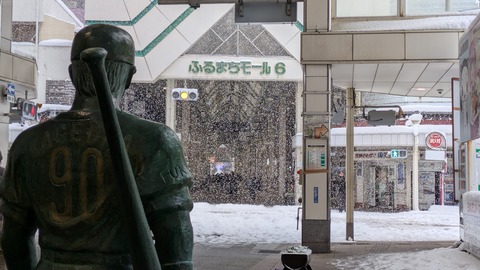 PXL_20260124_061923867