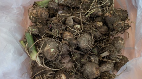 PXL_20251013_225042594