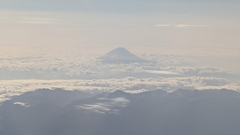 1000016713