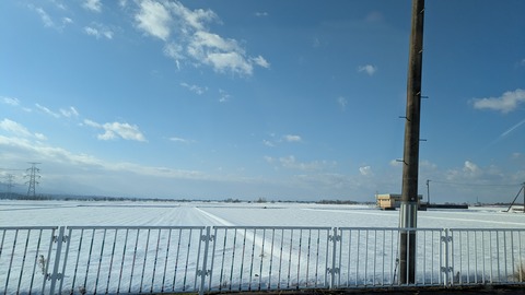 PXL_20250125_003013417