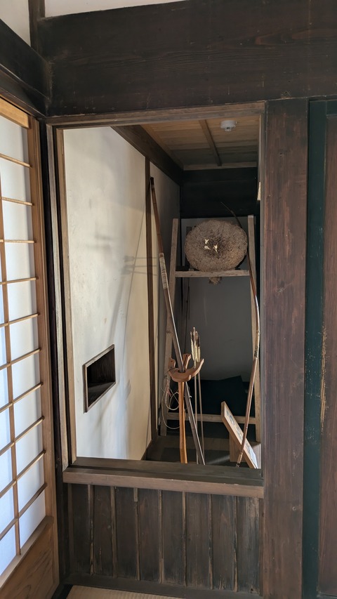 PXL_20241119_055426391