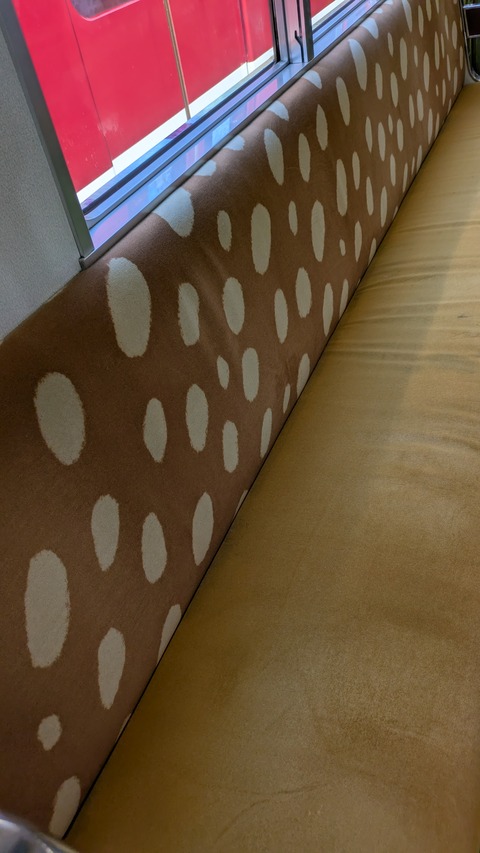 PXL_20250630_050328320