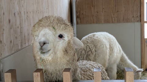 PXL_20250414_020924996