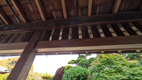 PXL_20241119_055727501