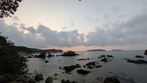 PXL_20241117_080839024