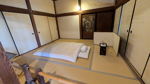 PXL_20241115_041633567