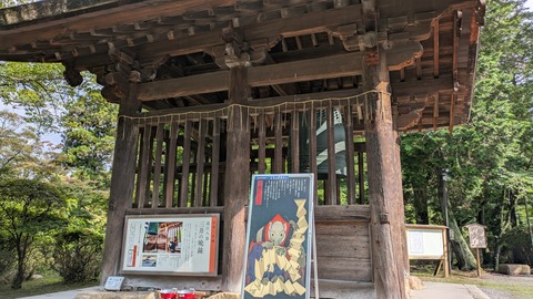 PXL_20250626_064423532