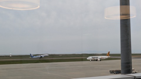 PXL_20250509_083658881