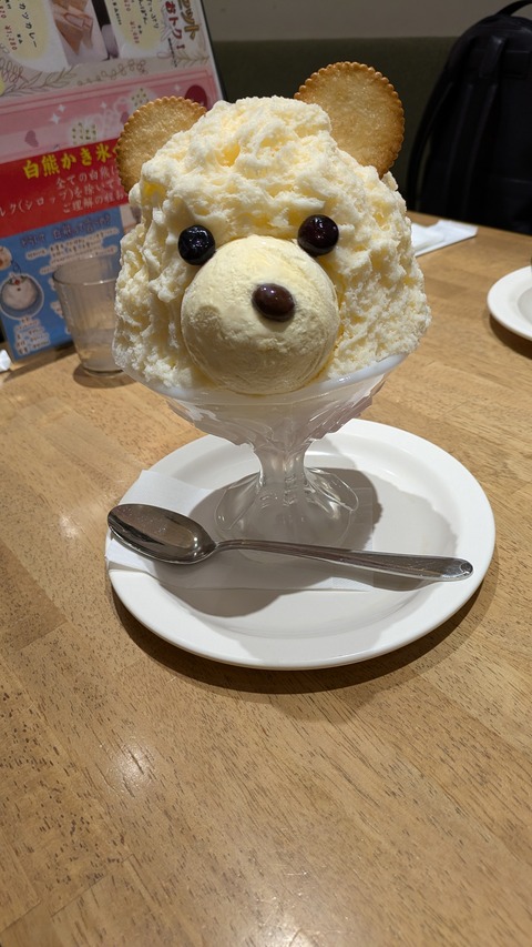 PXL_20241115_060056790