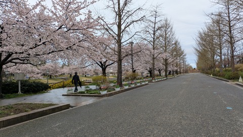 PXL_20250414_013338573