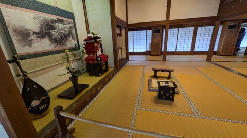 PXL_20241115_041421600