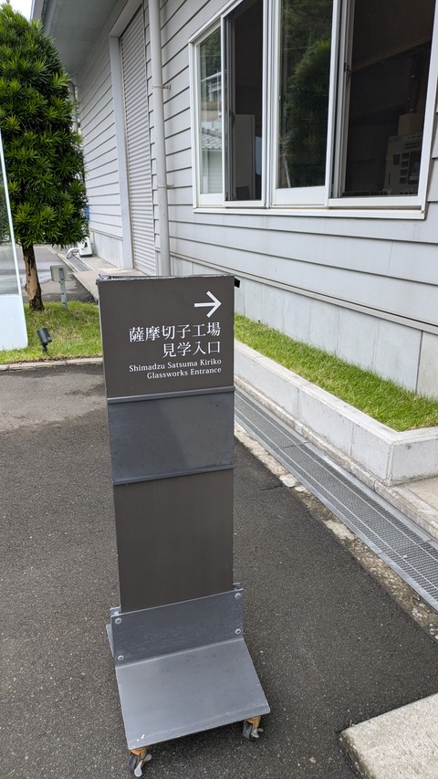 PXL_20241115_050340128