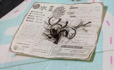 PXL_20250907_044118404~2