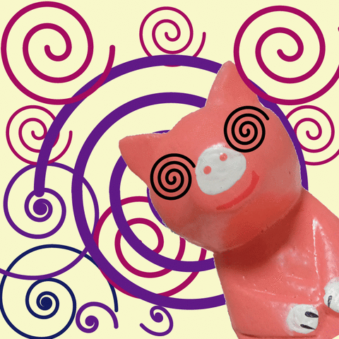 ブタ　渦巻き