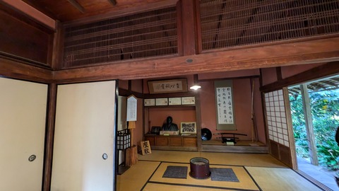 PXL_20241119_063601924