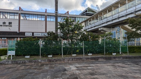 PXL_20241118_000449482