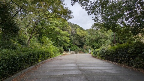 PXL_20241028_012307023