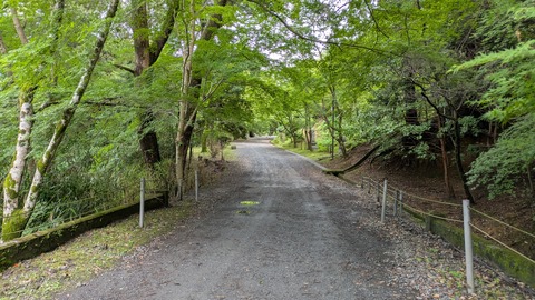 PXL_20250626_065825904