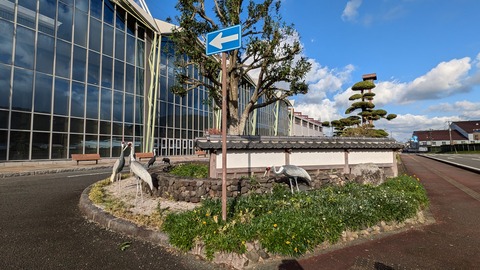 PXL_20241118_001319655