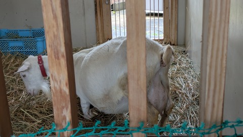 PXL_20250414_021050092