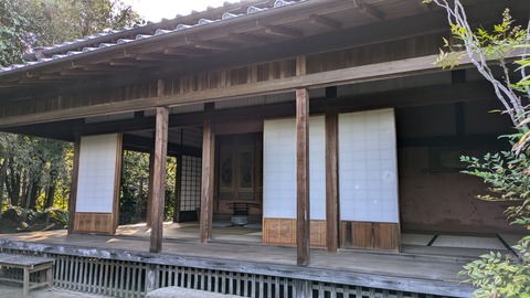 PXL_20241119_061848928