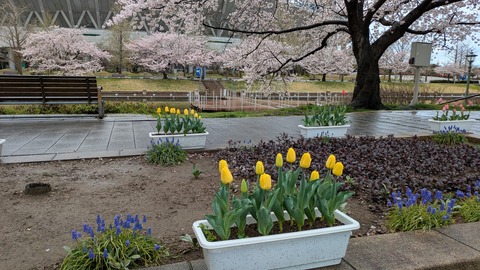 PXL_20250414_013448335