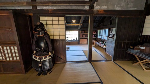 PXL_20241119_060128039