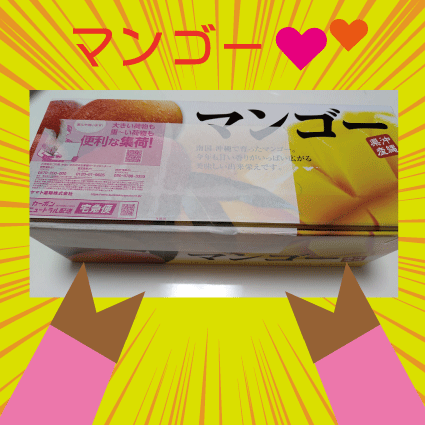 マンゴー