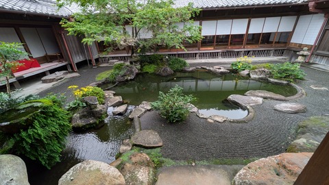 PXL_20241115_041926014