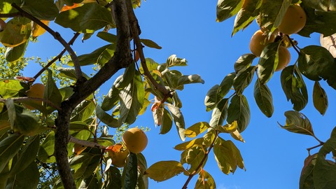 PXL_20251102_014005825