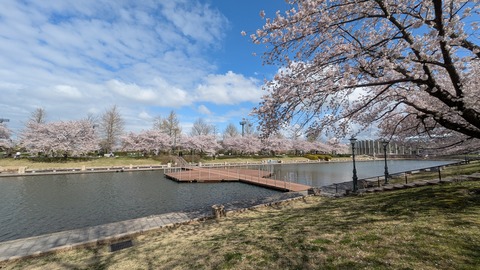 PXL_20250414_051952998