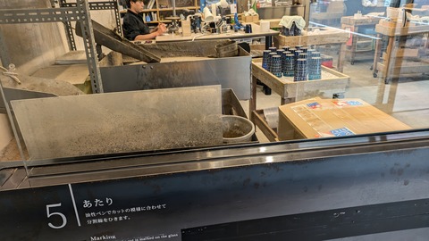 PXL_20241115_050446000